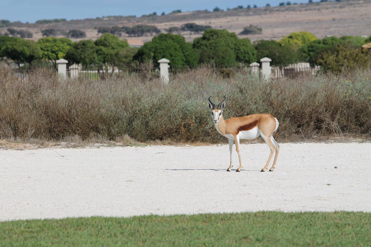דירות Langebaan Country Estate מראה חיצוני תמונה